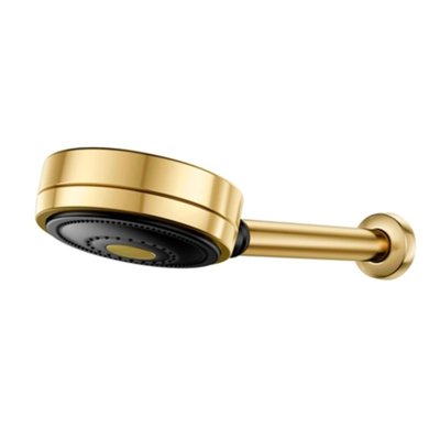 Chuveiro de Parede Docol Technoshower Ouro Polido - 01204843 Chuveiro de Parede Docol Technoshower Ouro Polido - 01204843