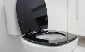Cor Ideal Assento Sanitário