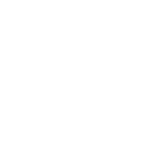 logo zagonel branco