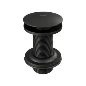 V&aacute;lvula Preta